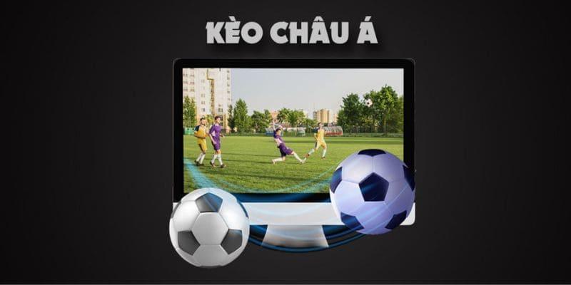 Cách đọc chi tiết trong bảng tỷ lệ 